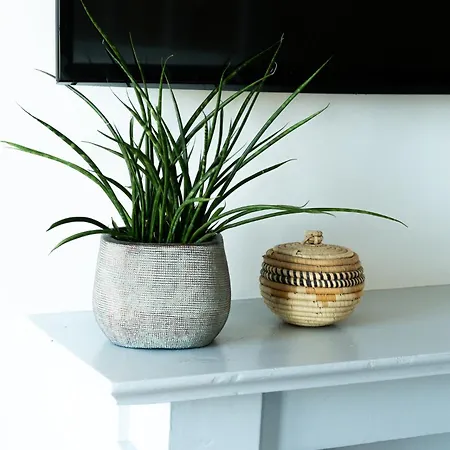 Bel-amy Saint-Pair-sur-Mer