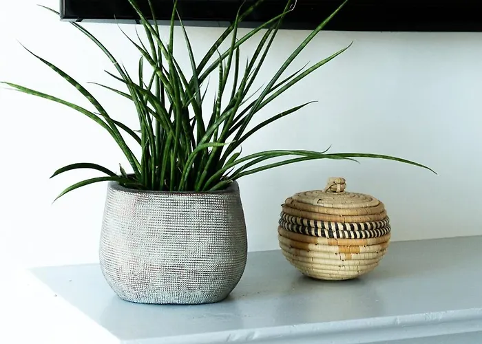 Bel-amy Saint-Pair-sur-Mer