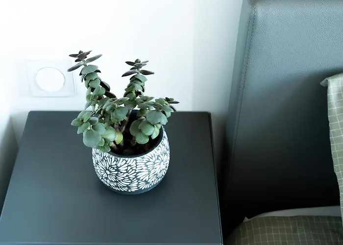 Διαμέρισμα Bel-amy *