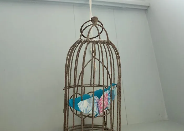 Διαμέρισμα Bel-amy *